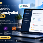 SEOİlan Pro profesyonel SEO analizi ve web sitesi SEO raporu