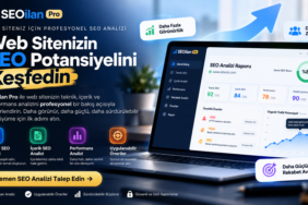 SEOİlan Pro profesyonel SEO analizi ve web sitesi SEO raporu